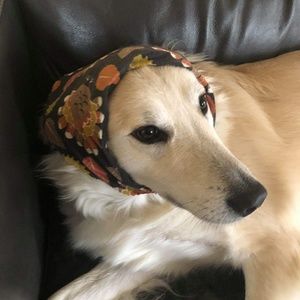 Meet your Posher, Isabella